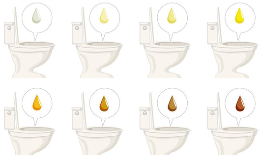 尿液顏色茶色看什麼科 為什麼喝很多水尿還是黃的 糖尿病的尿液是什麼顏色 為什麼尿是橘色的 尿液顏色黃 尿液顏色茶色 尿液顏色混濁 尿液顏色偏紅 正常尿液顏色 糖尿病尿液顏色 尿顏色很淡 尿液紅色原因 香港看中醫多少錢 中醫真的能調身體嗎 看中醫一次多少錢 中醫可以看什麼症狀 中醫課程 中醫診所 中醫英文 中醫推薦 中醫是什麼 中醫附近 中醫大學 中醫營業中